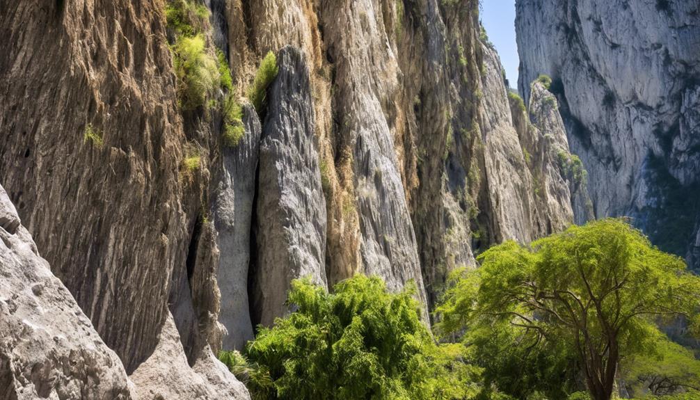 rock climbing paradise in mexico