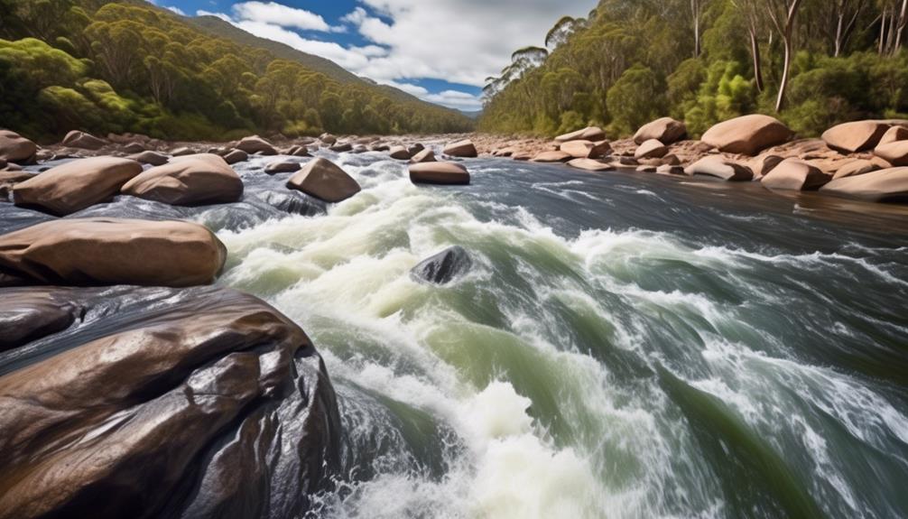 wilderness river in tasmania