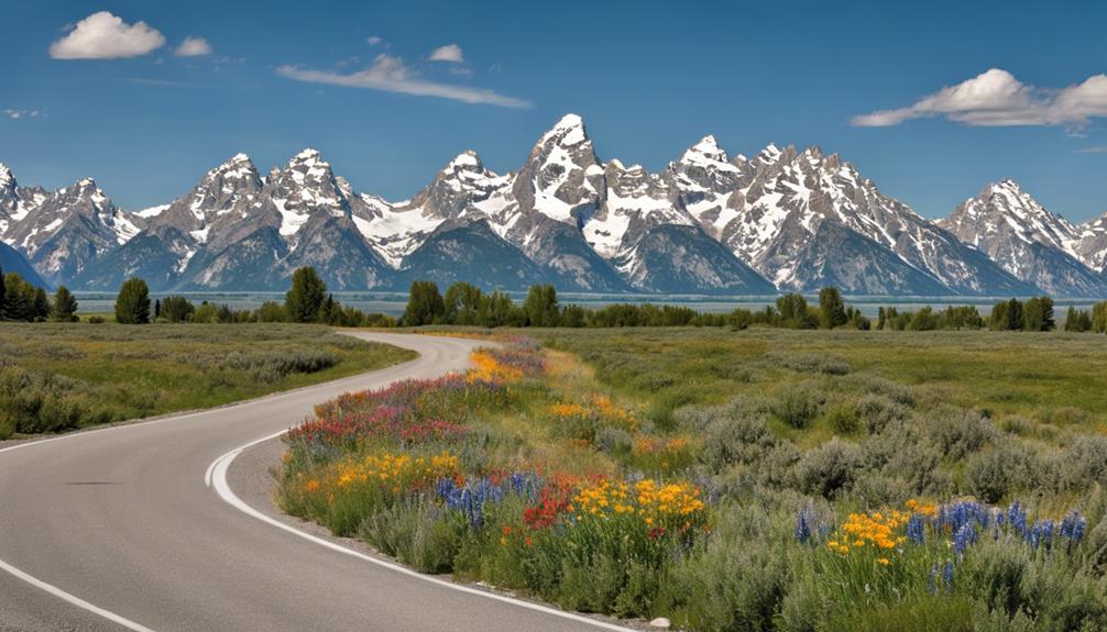 beautiful park in wyoming